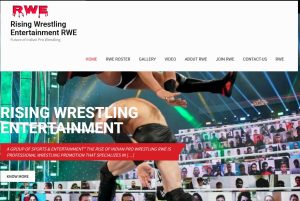 Read more about the article rweindia.com Saiwebs Clients